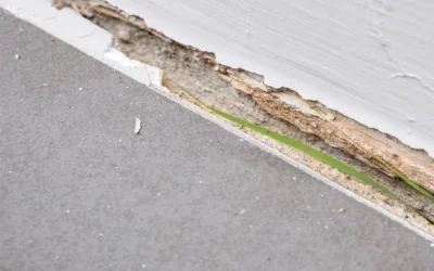 Sadanie podlahy – nebezpečný príznak alebo opraviteľný problém?